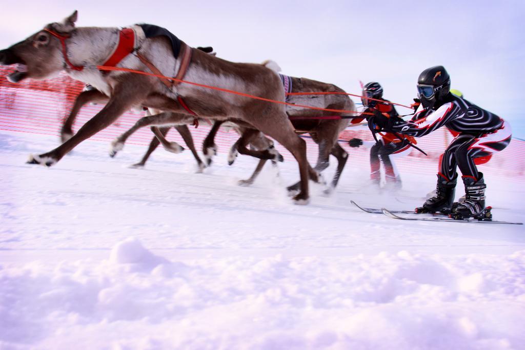 Thon Kautokeino